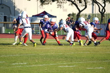 Enlarge photo 255
