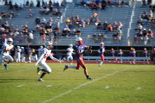 Enlarge photo 261