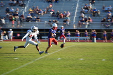 Enlarge photo 264