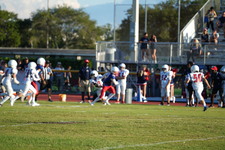 Enlarge photo 268