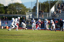 Enlarge photo 270