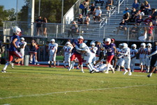 Enlarge photo 279