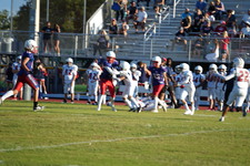 Enlarge photo 278