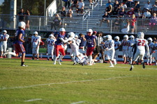 Enlarge photo 280