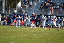 Enlarge photo 282