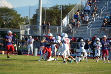 Enlarge photo 288