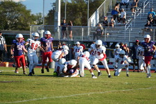 Enlarge photo 291