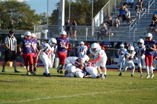 Enlarge photo 294