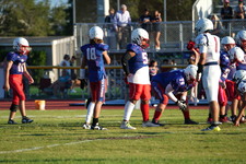 Enlarge photo 317