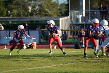 Enlarge photo 323
