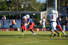 Enlarge photo 327