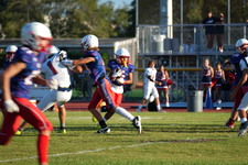Enlarge photo 328