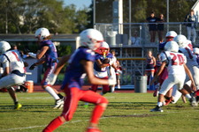 Enlarge photo 330