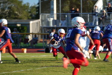 Enlarge photo 333