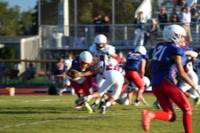 Enlarge photo 334