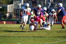 Enlarge photo 336