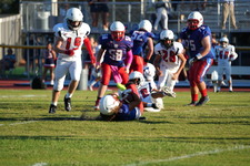 Enlarge photo 337