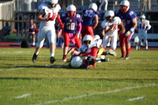 Enlarge photo 340