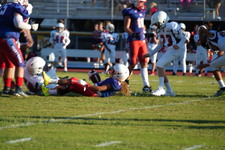 Enlarge photo 342