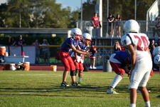 Enlarge photo 343