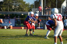 Enlarge photo 344