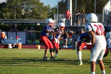 Enlarge photo 346