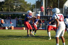 Enlarge photo 348