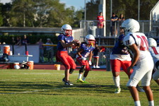 Enlarge photo 347