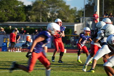 Enlarge photo 352