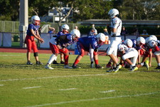 Enlarge photo 361
