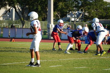 Enlarge photo 362