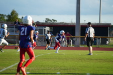 Enlarge photo 383