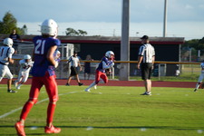 Enlarge photo 385