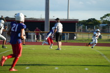Enlarge photo 387
