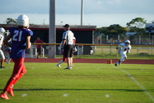 Enlarge photo 386
