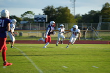 Enlarge photo 388