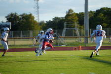 Enlarge photo 393