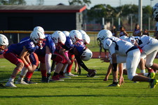 Enlarge photo 421
