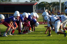 Enlarge photo 426