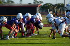 Enlarge photo 429