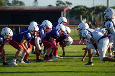 Enlarge photo 428
