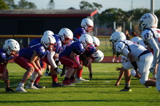 Enlarge photo 430
