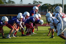 Enlarge photo 431