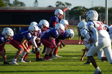 Enlarge photo 433