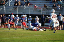 Enlarge photo 449
