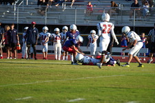 Enlarge photo 455