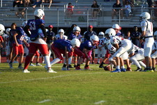 Enlarge photo 454