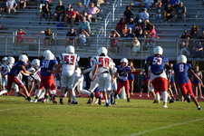 Enlarge photo 458
