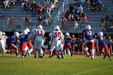 Enlarge photo 459