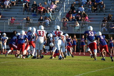 Enlarge photo 460